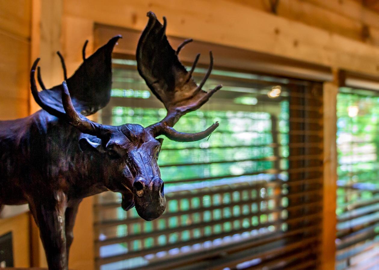 Bearfoot Inn #35 Sevierville Luaran gambar